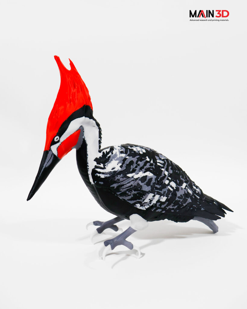 38572 main 3d 819x1024