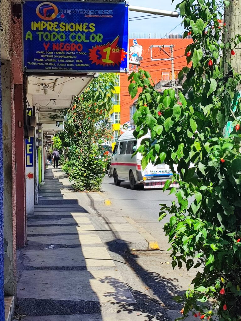 38582 imprexpress chilpancingo 768x1024