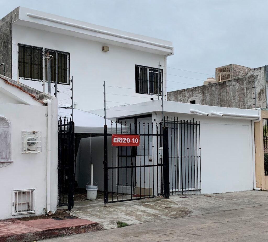 38751 erizo 10 impresion digital 1024x925