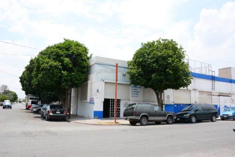 38919 lava facil 768x512