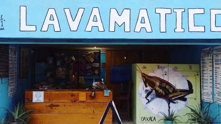 39062 lavanderia lavamatico oaxaca since 1971 768x432