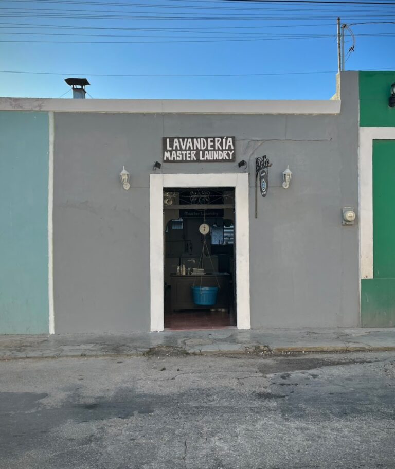 39195 lavanderia master laundry 768x912