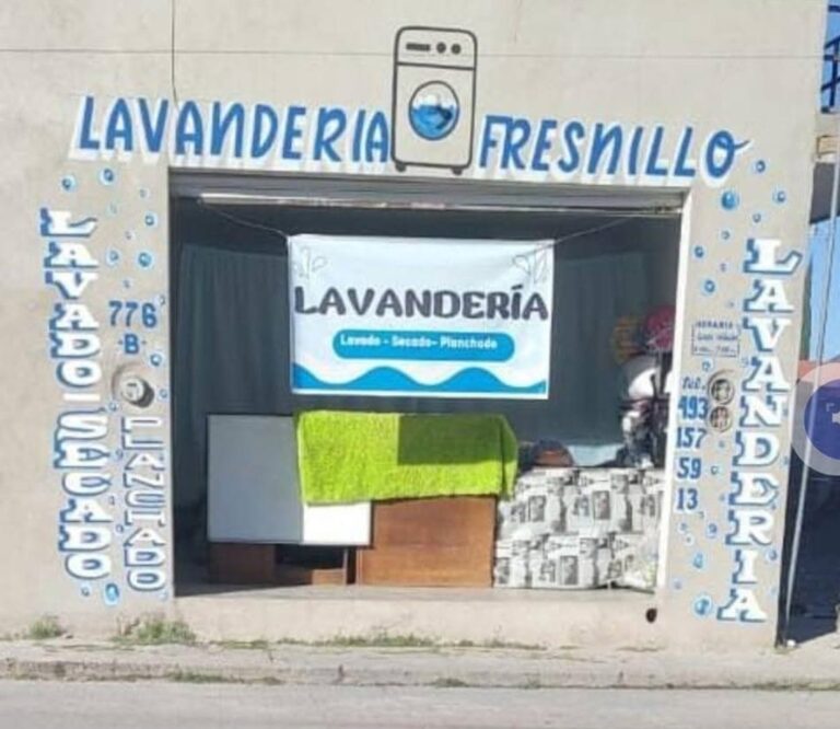 39212 lavanderia fresnillo 768x666
