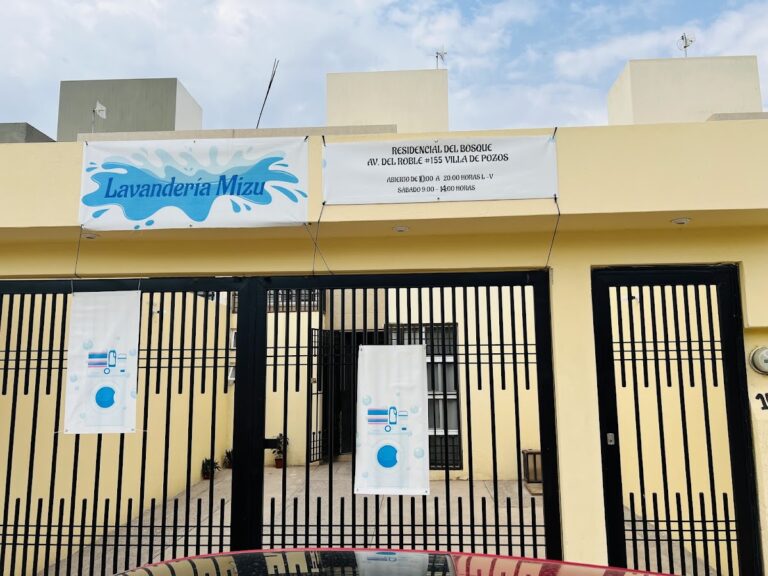 39450 lavanderia y tintoreria mizu 768x576