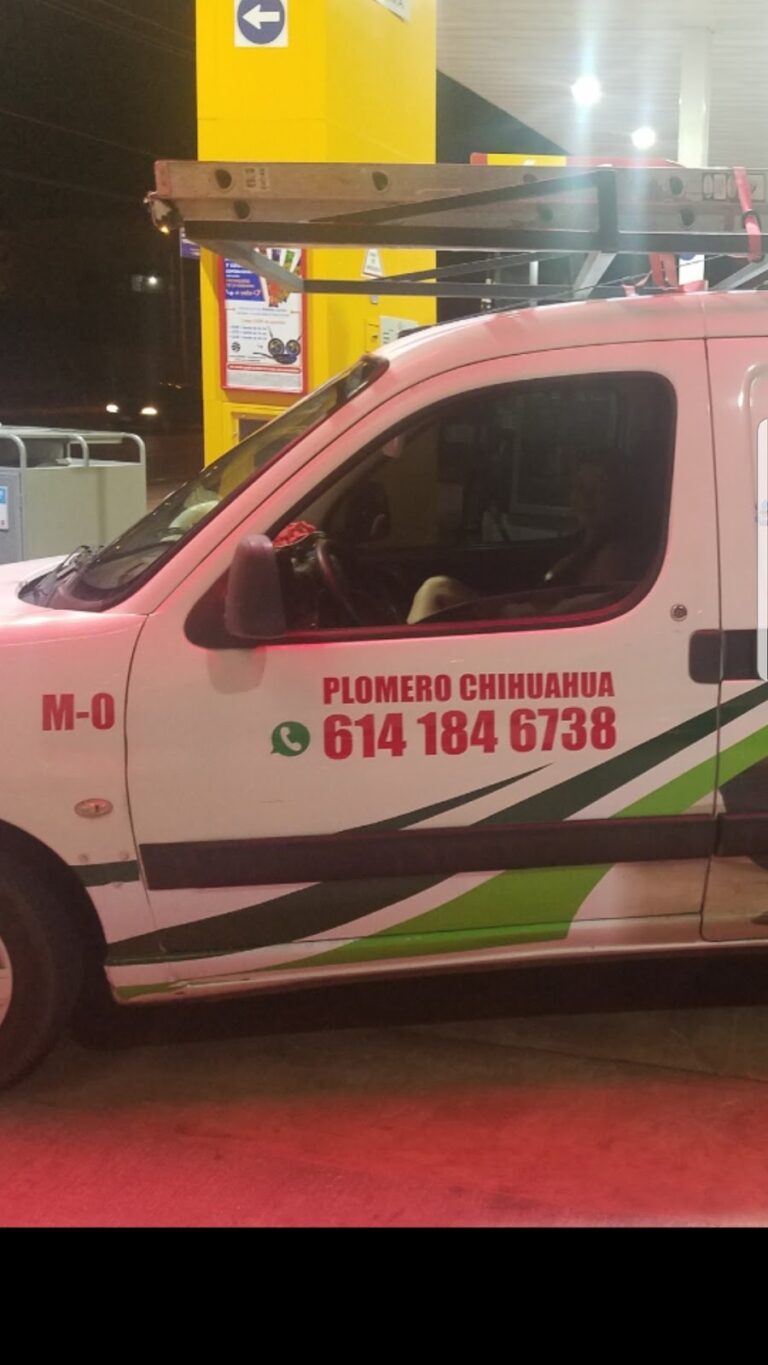 40209 plomero chihuahua 768x1365