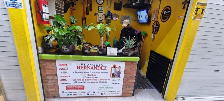 40262 plomeria hernandez 768x346