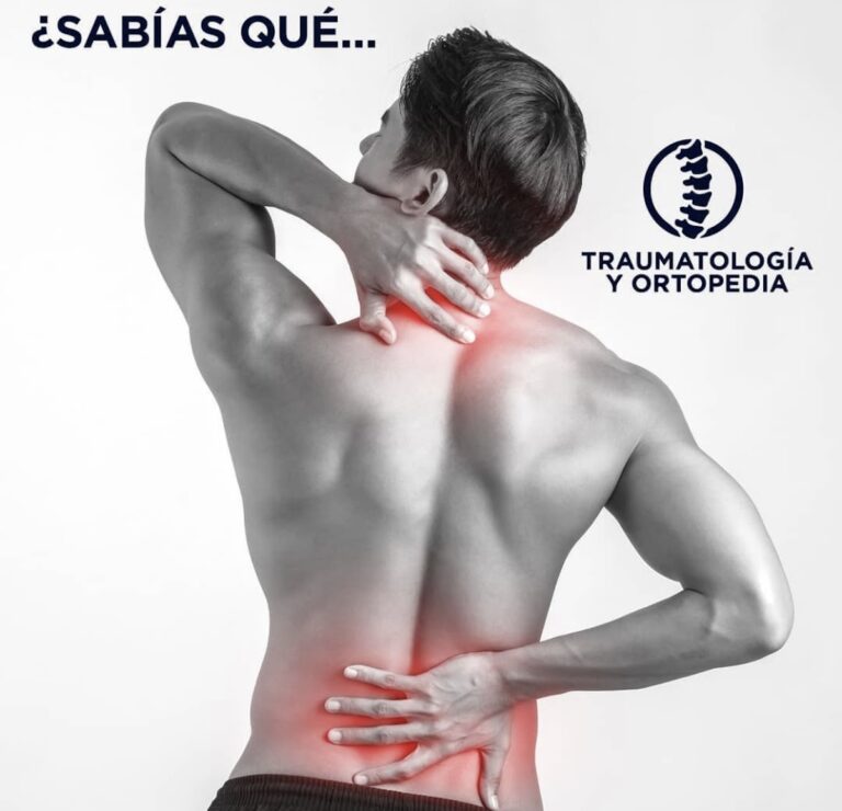 7910 dr. jose garcia magana 768x740