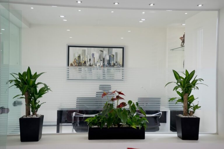 9210 constructora industrial caabsa steel mexico 768x512