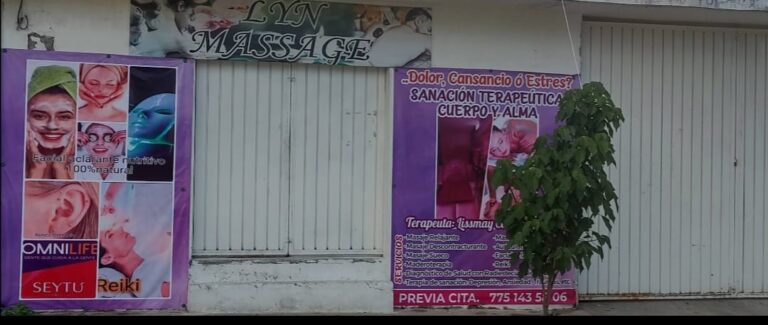 9821 lyn massage sanacion terapeutica cuerpo y alma 768x325