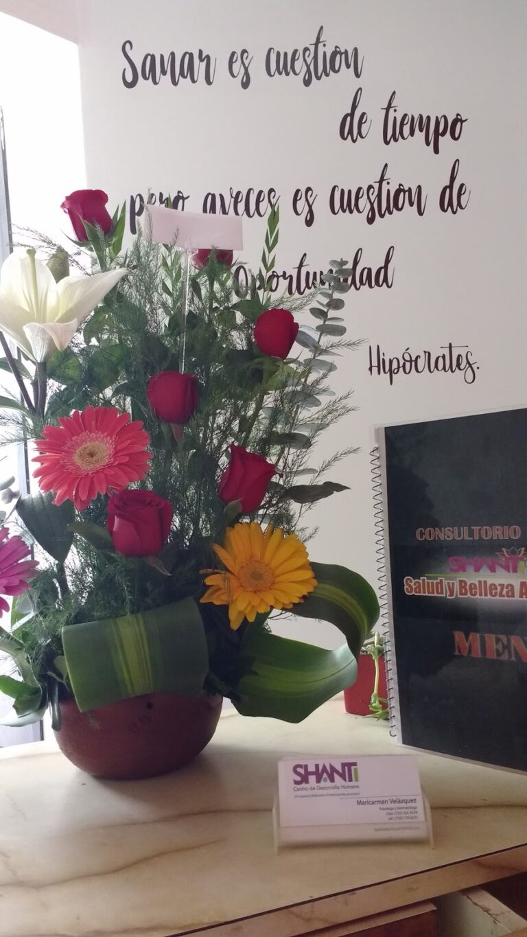 9944 shanti spa grupo clinico integral 768x1365