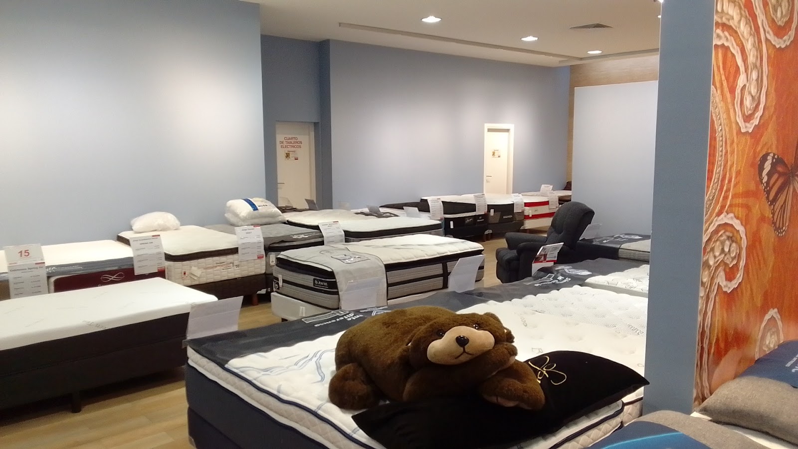 fanout-photo-1770412467242-4 fanout-photo-1770412467242-4