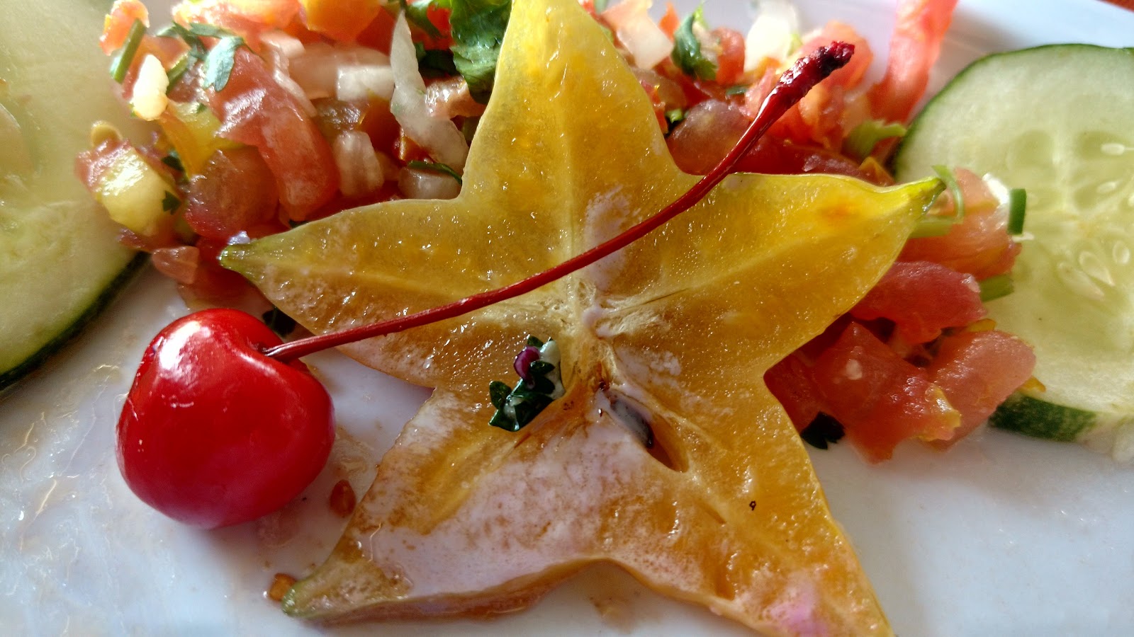 fanout-photo-1770493719892-2 fanout-photo-1770493719892-2