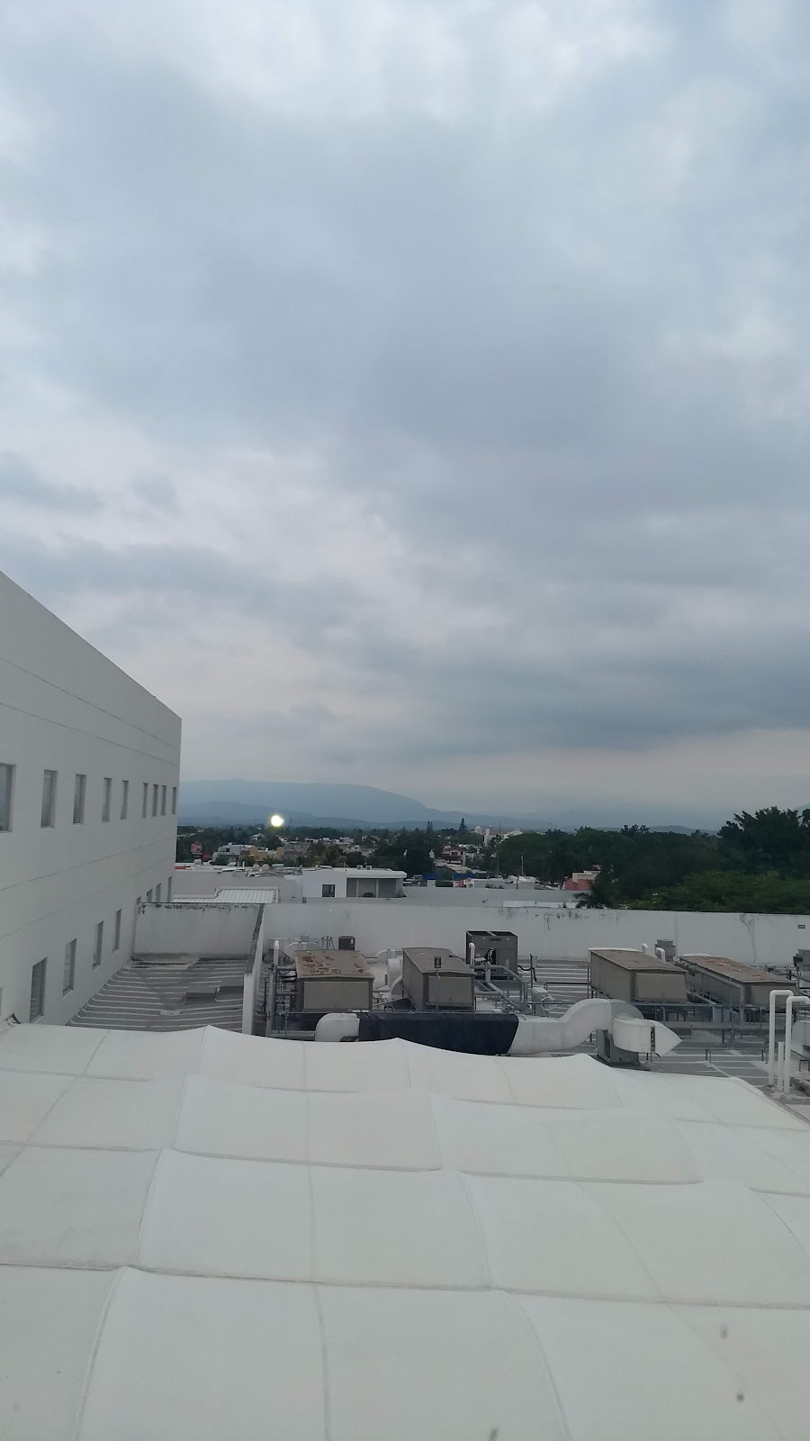 leetx-google-photo-1770149875583-6 leetx-google-photo-1770149875583-6