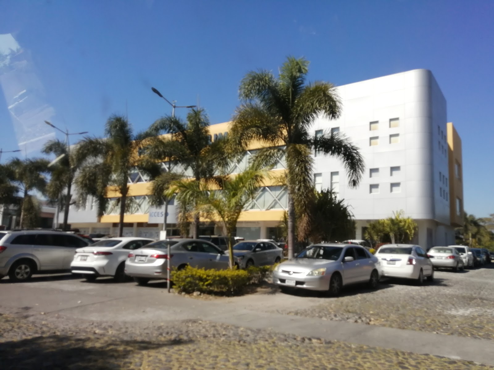 leetx-google-photo-1770149877214-7 leetx-google-photo-1770149877214-7