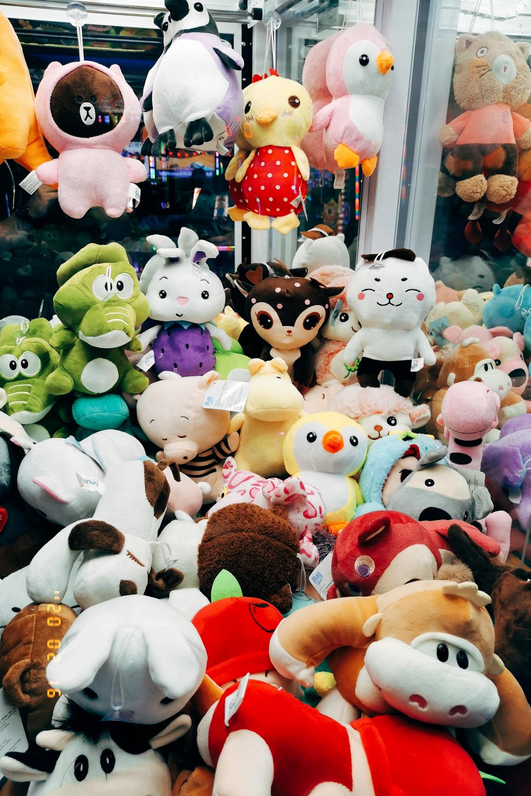 leetx-google-photo-1770150076556-3 leetx-google-photo-1770150076556-3