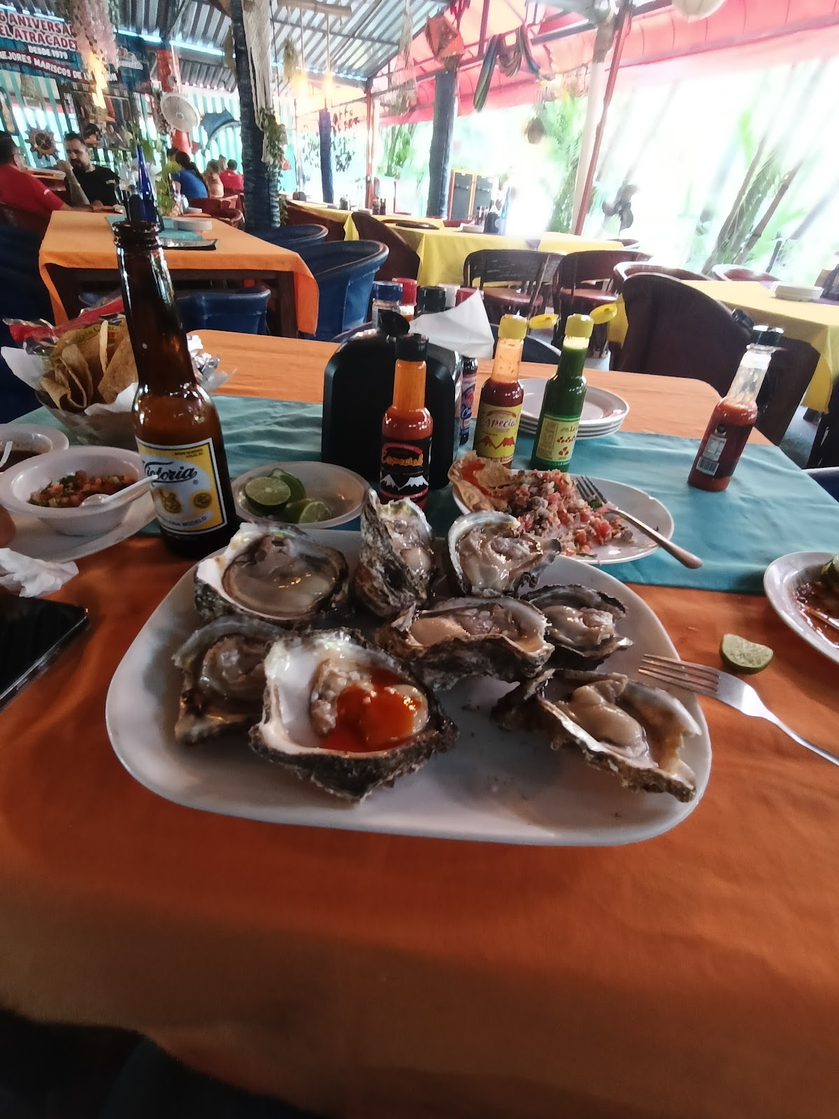 leetx-google-photo-1770151139797-2 leetx-google-photo-1770151139797-2