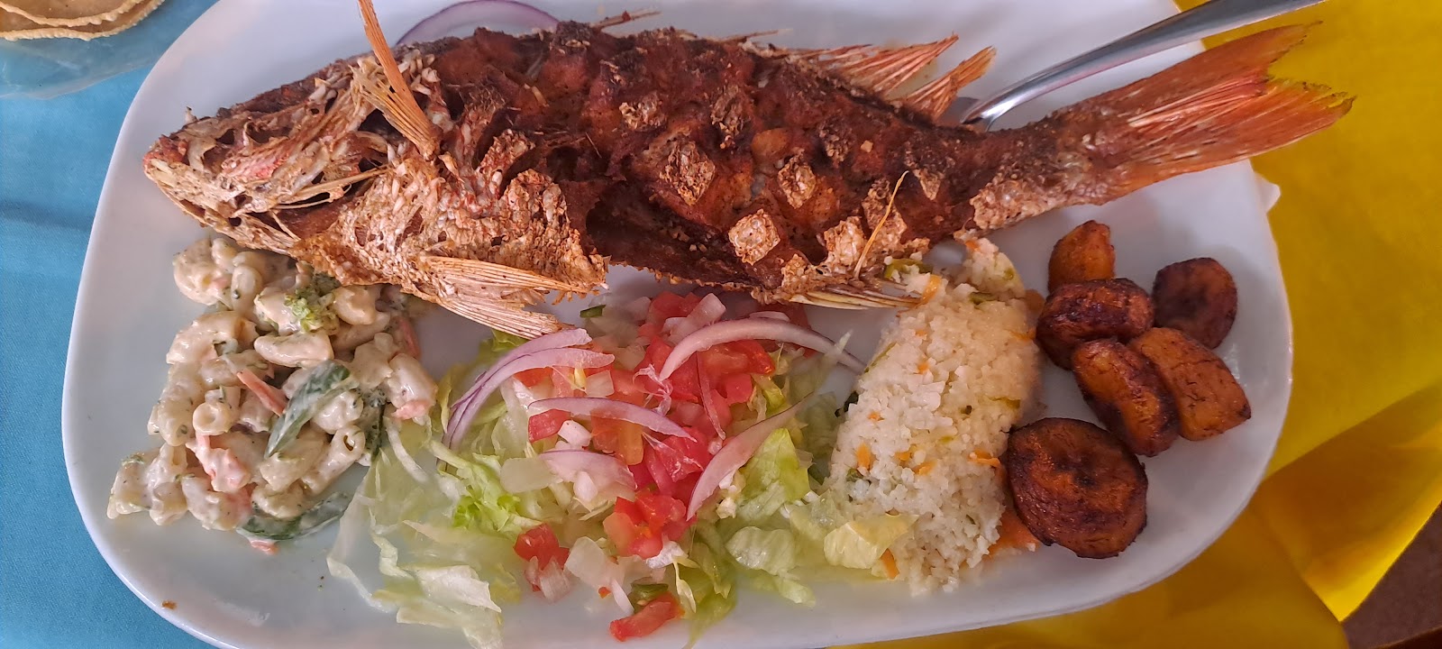 leetx-google-photo-1770151146615-6 leetx-google-photo-1770151146615-6