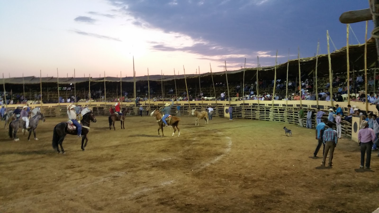 leetx-google-photo-1770164426036-3 leetx-google-photo-1770164426036-3