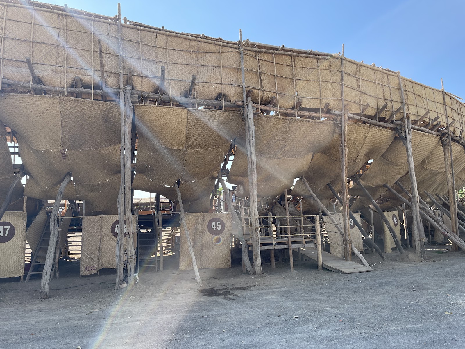 leetx-google-photo-1770164427506-4 leetx-google-photo-1770164427506-4