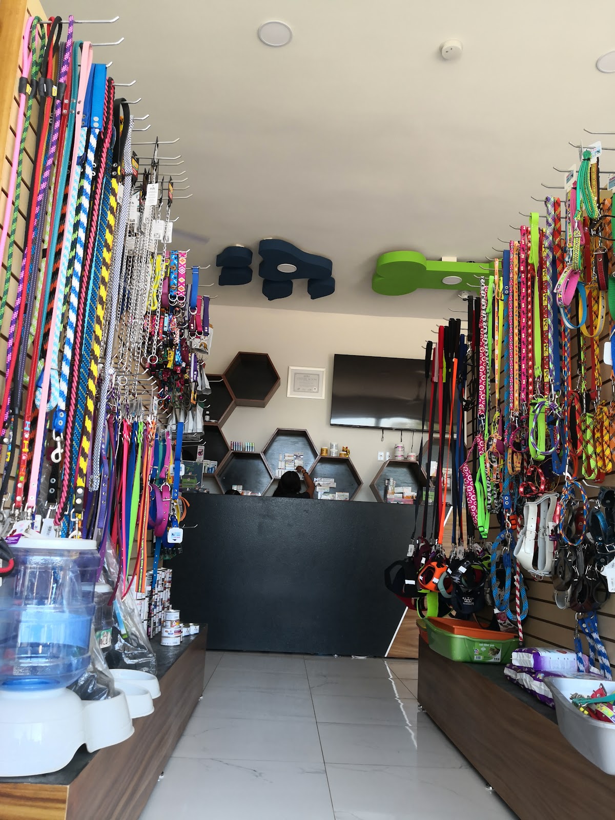 leetx-google-photo-1770165578408-2 leetx-google-photo-1770165578408-2