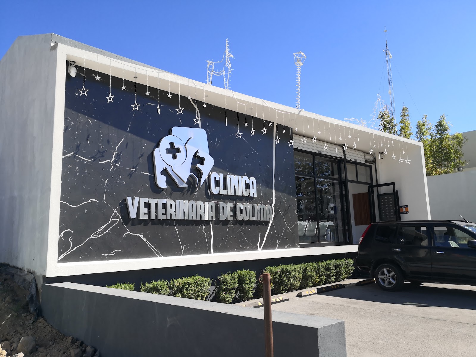 leetx-google-photo-1770165580130-3 leetx-google-photo-1770165580130-3