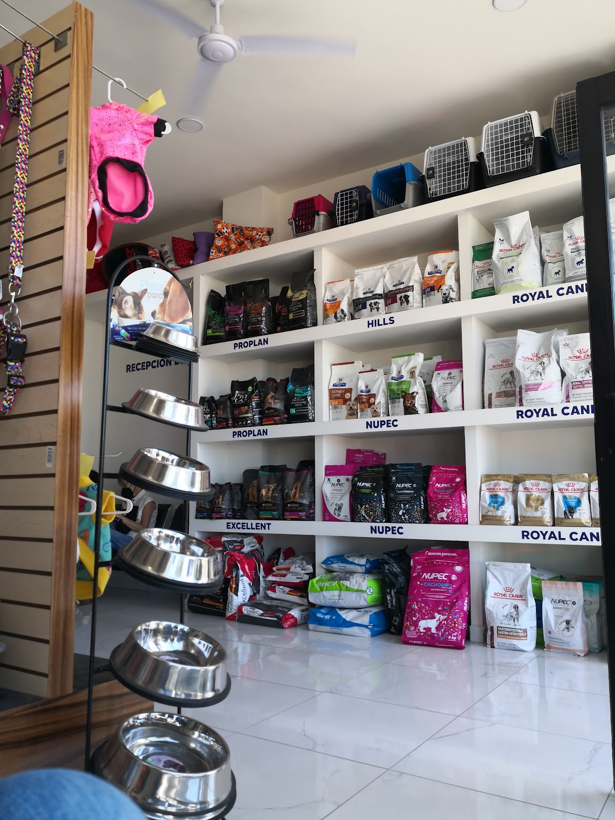 leetx-google-photo-1770165583702-5 leetx-google-photo-1770165583702-5