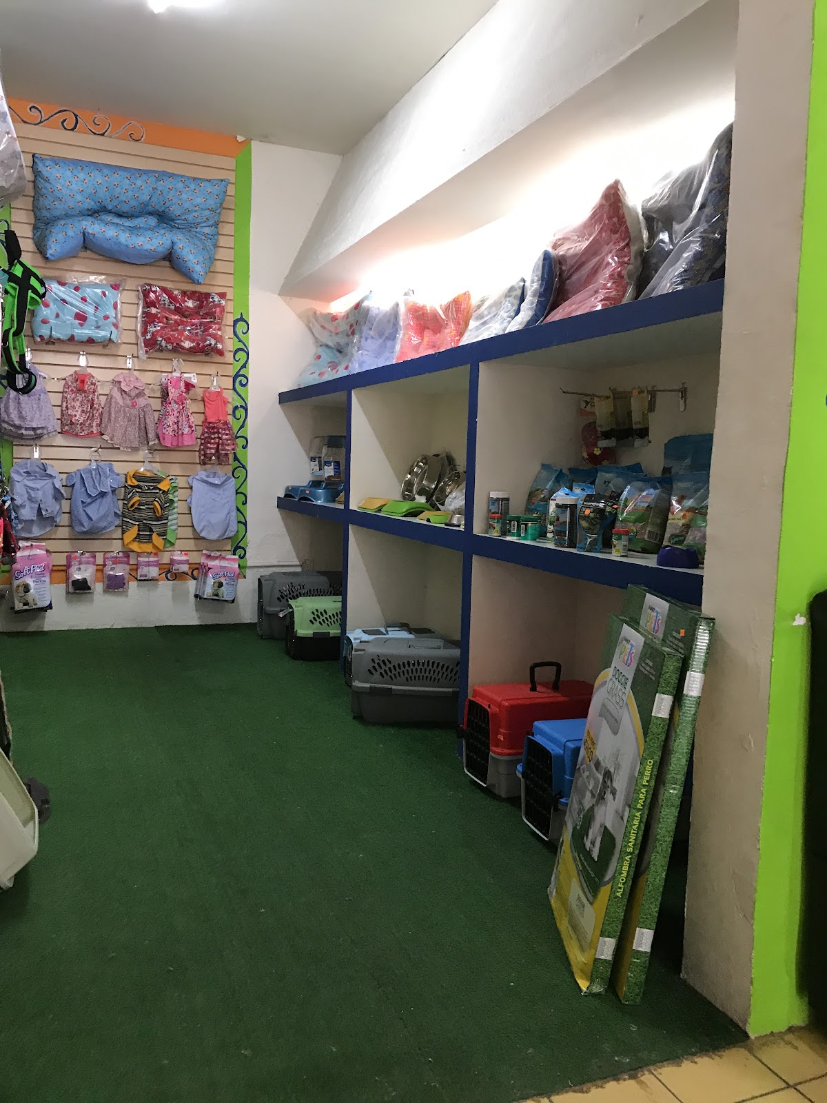 leetx-google-photo-1770165585359-6 leetx-google-photo-1770165585359-6