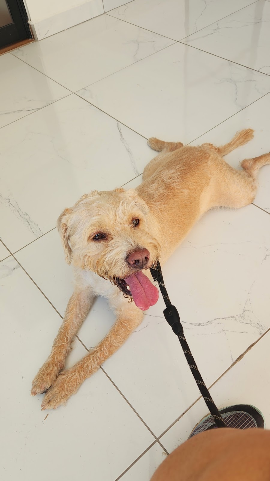 leetx-google-photo-1770165586861-7 leetx-google-photo-1770165586861-7