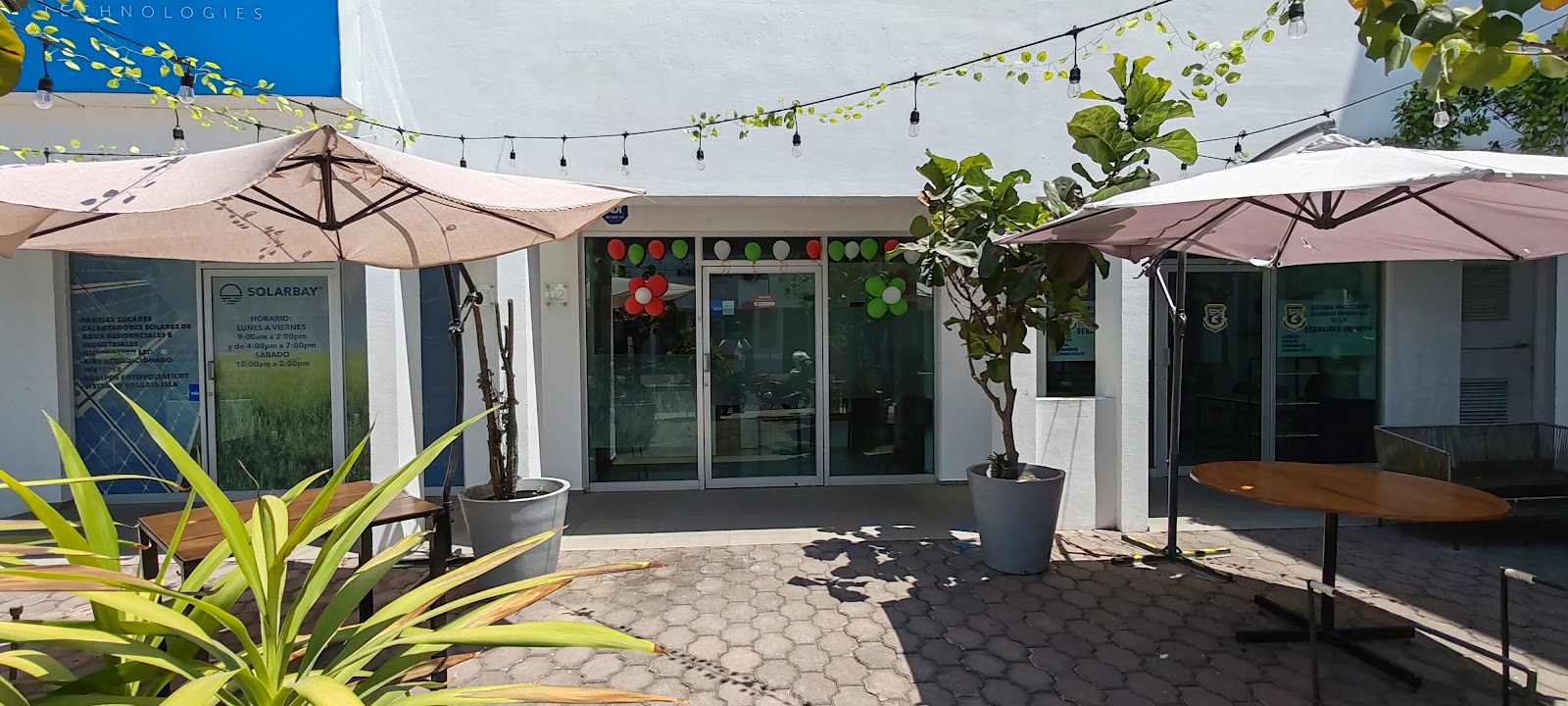 leetx-google-photo-1770168270189-3 leetx-google-photo-1770168270189-3