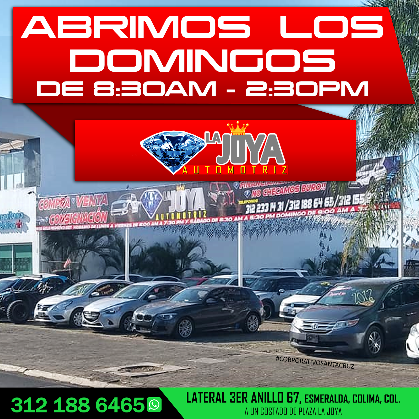 leetx-google-photo-1770168354297-4 leetx-google-photo-1770168354297-4