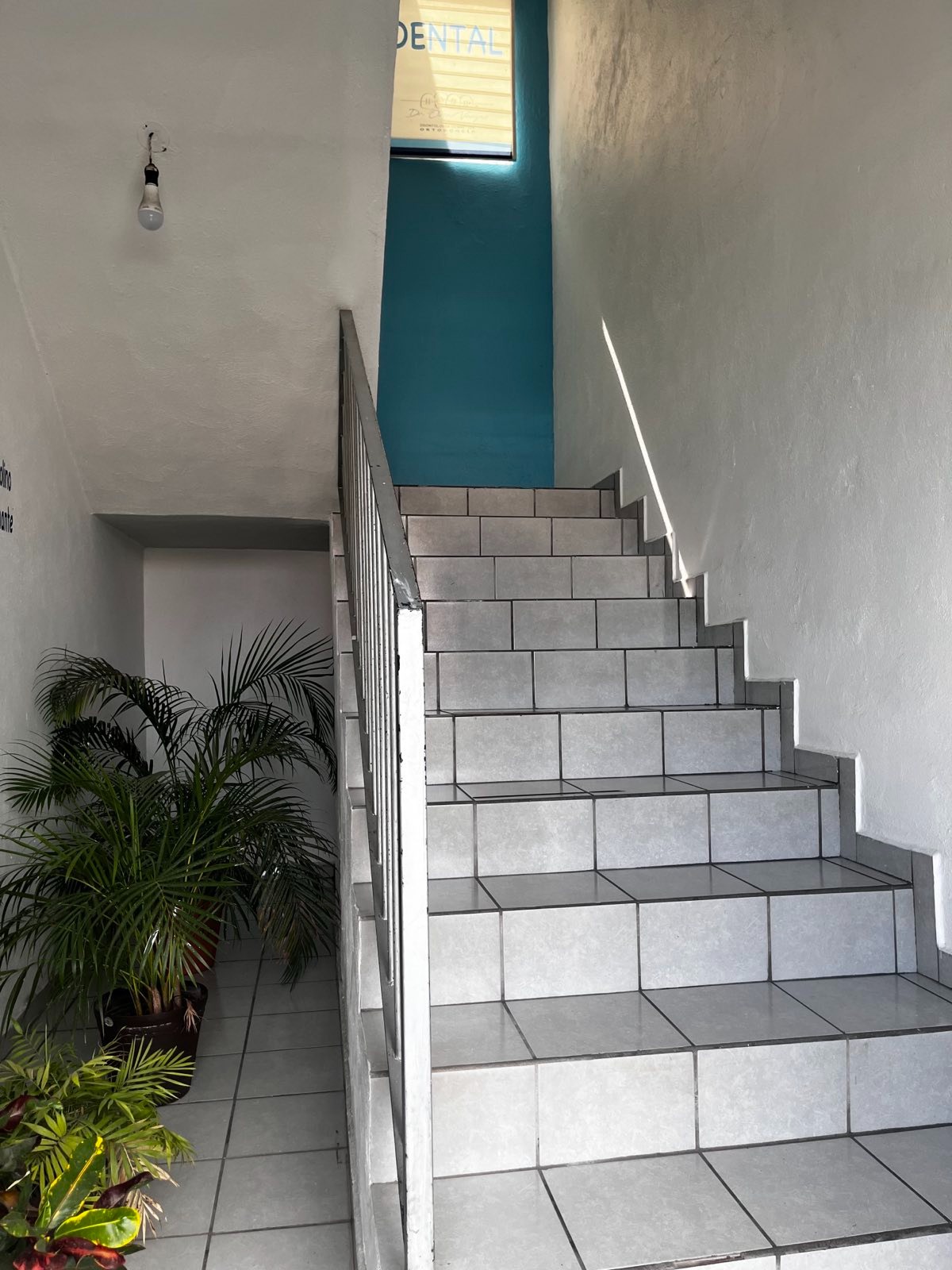 leetx-google-photo-1770168917014-5 leetx-google-photo-1770168917014-5