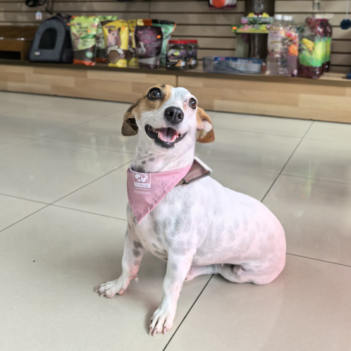 leetx-google-photo-1770169507461-4 leetx-google-photo-1770169507461-4