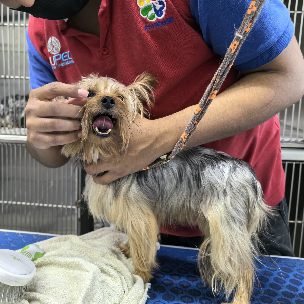 leetx-google-photo-1770169774560-1 leetx-google-photo-1770169774560-1