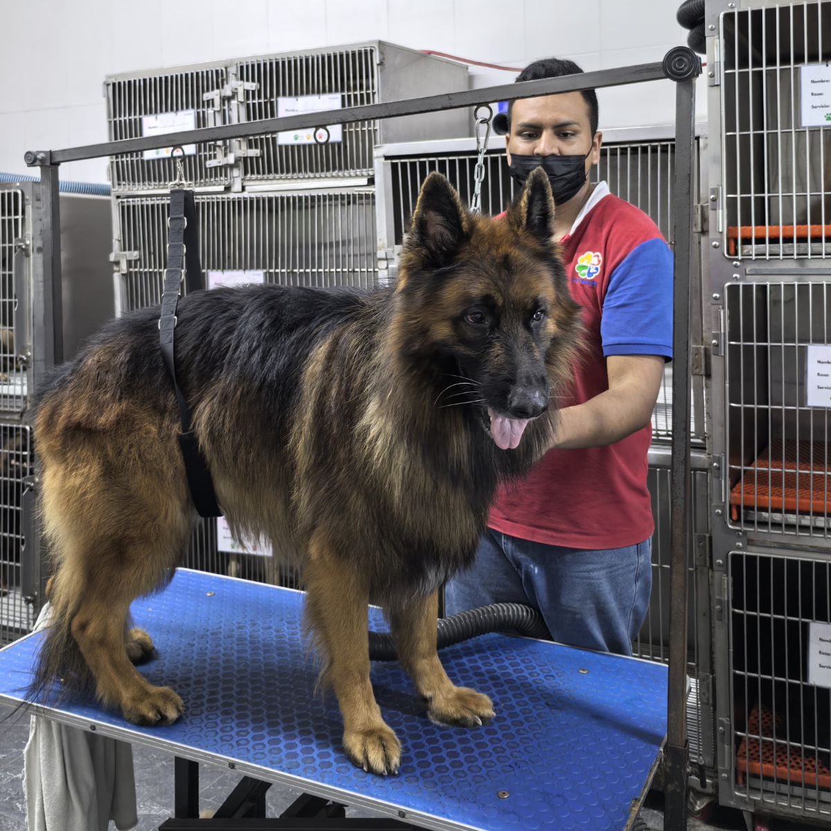 leetx-google-photo-1770169783617-3 leetx-google-photo-1770169783617-3