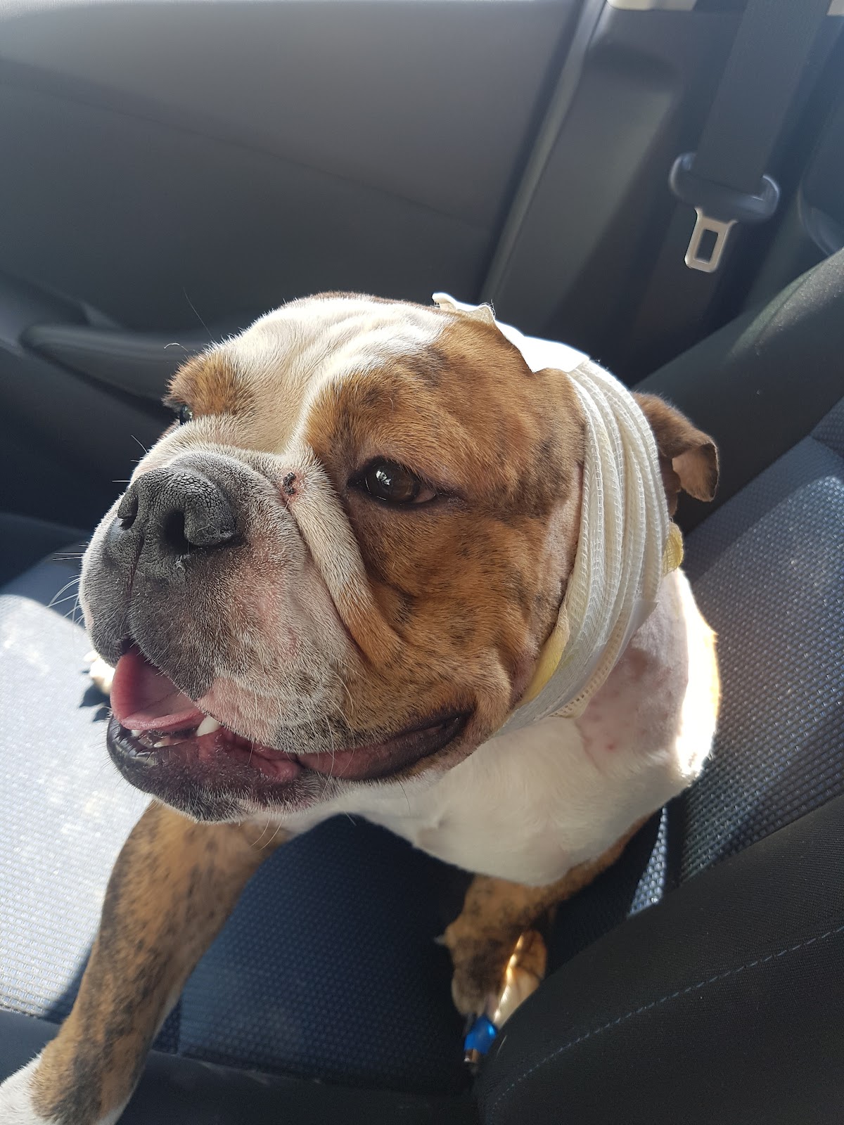 leetx-google-photo-1770169795160-5 leetx-google-photo-1770169795160-5