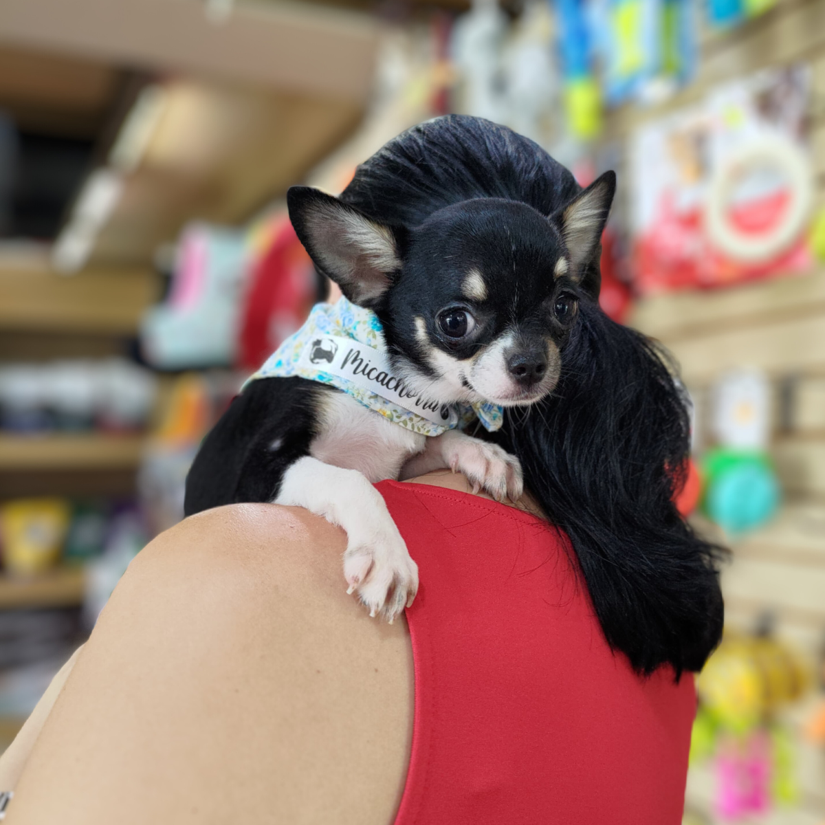 leetx-google-photo-1770169801604-7 leetx-google-photo-1770169801604-7