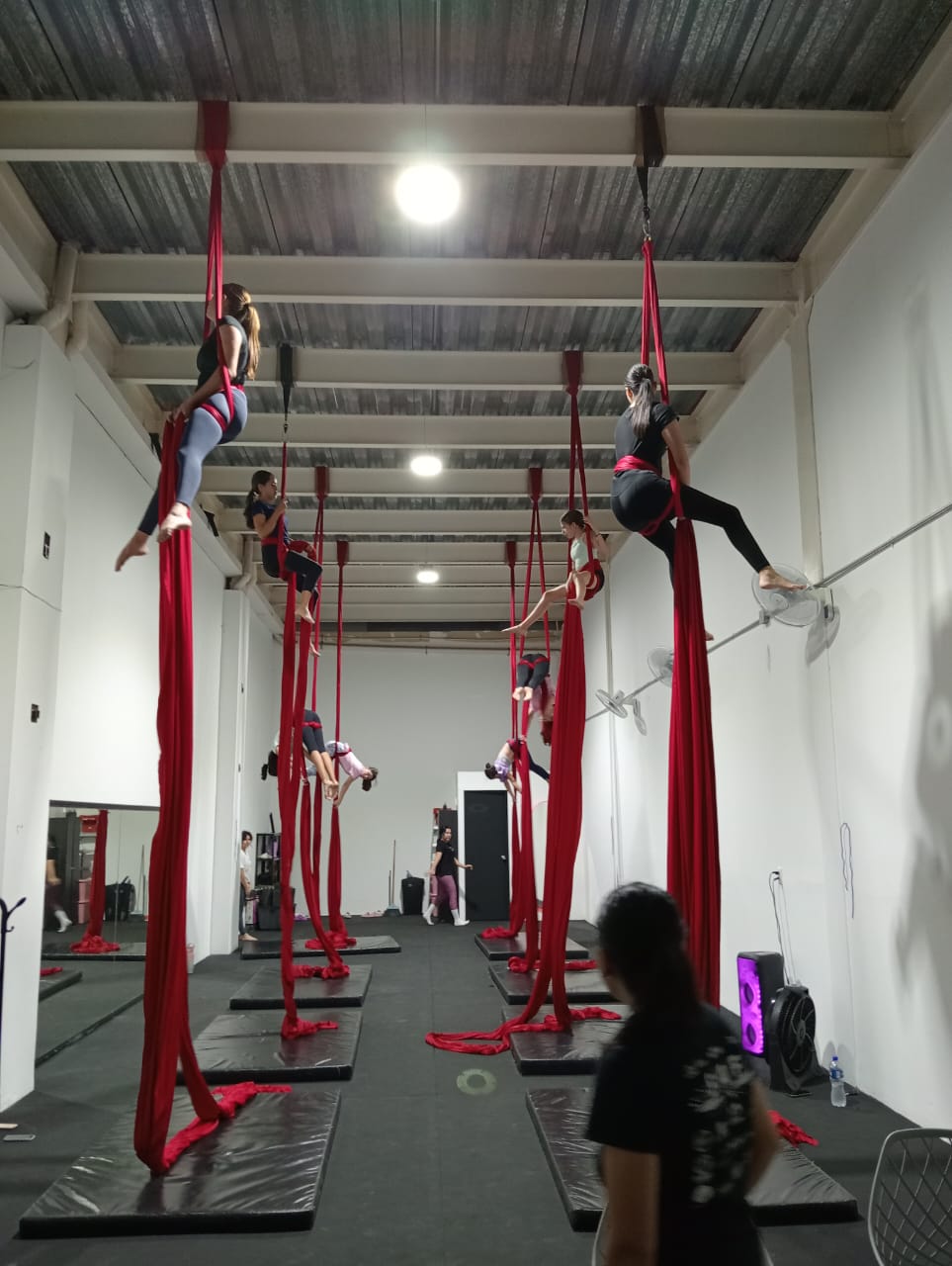 leetx-google-photo-1770170685620-6 leetx-google-photo-1770170685620-6