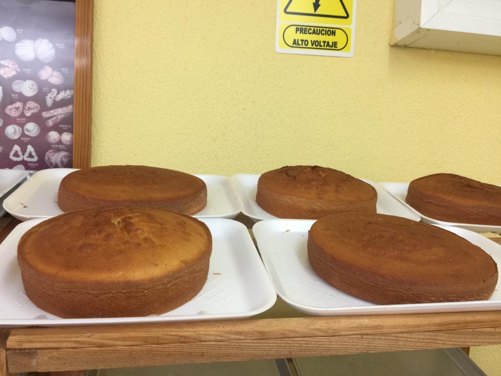 leetx-google-photo-1770324279609-1 leetx-google-photo-1770324279609-1