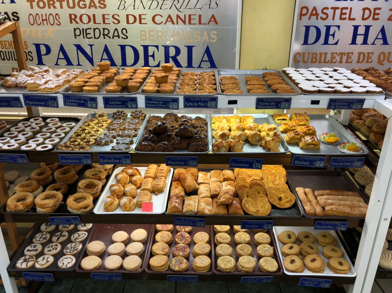 leetx-google-photo-1770324283135-3 leetx-google-photo-1770324283135-3