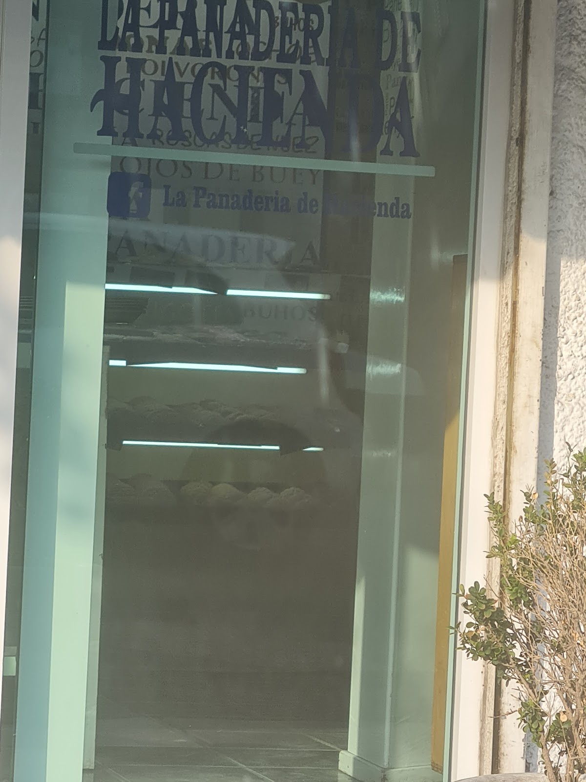 leetx-google-photo-1770324286407-5 leetx-google-photo-1770324286407-5