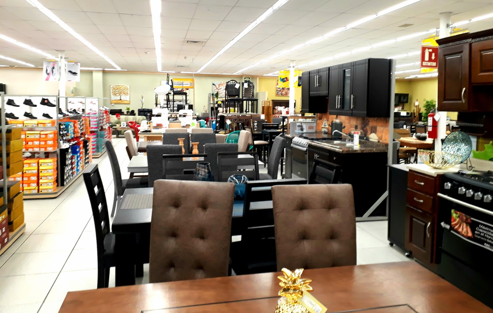 leetx-google-photo-1770326504524-1 leetx-google-photo-1770326504524-1