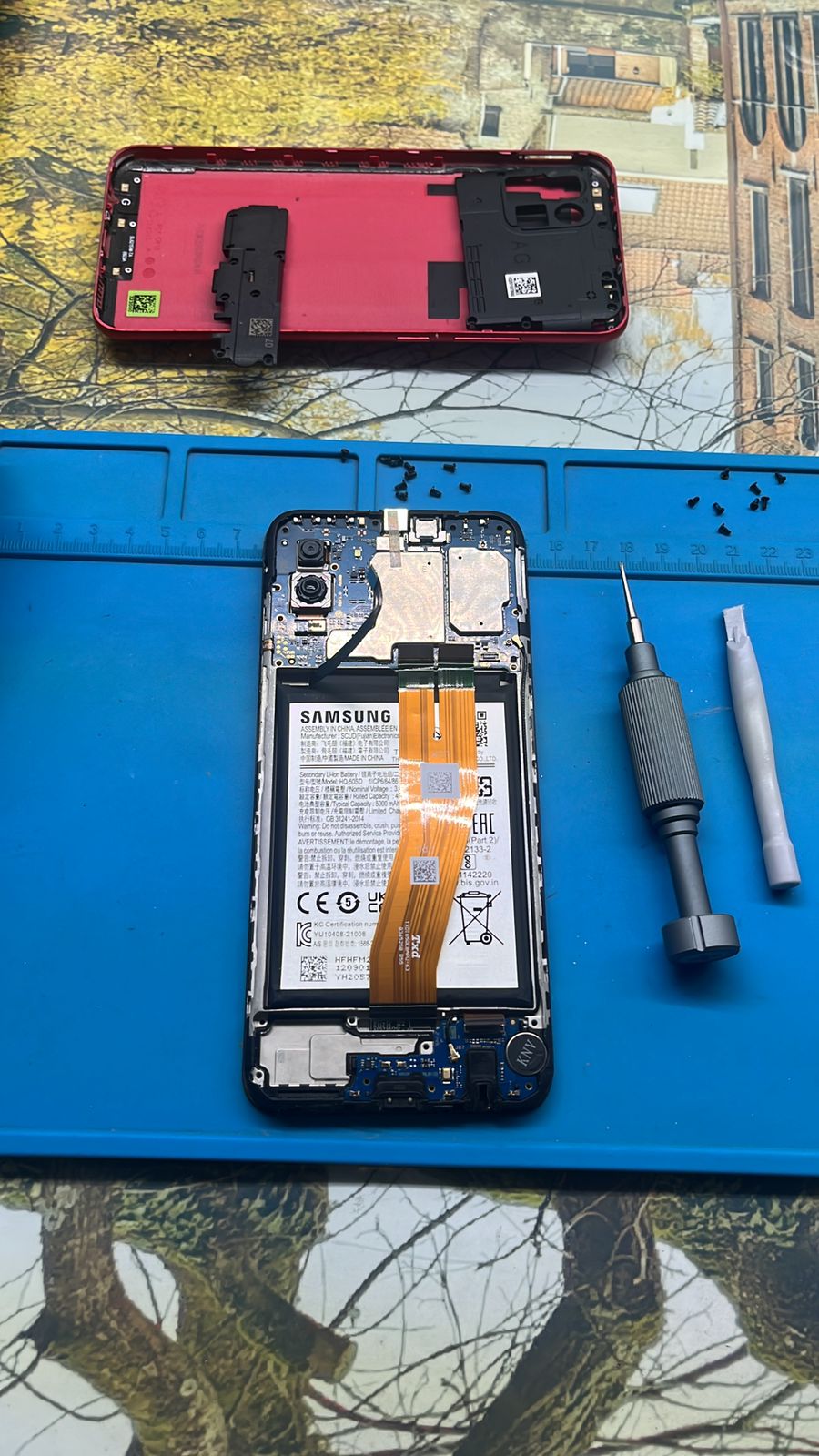 leetx-google-photo-1770332194115-1 leetx-google-photo-1770332194115-1