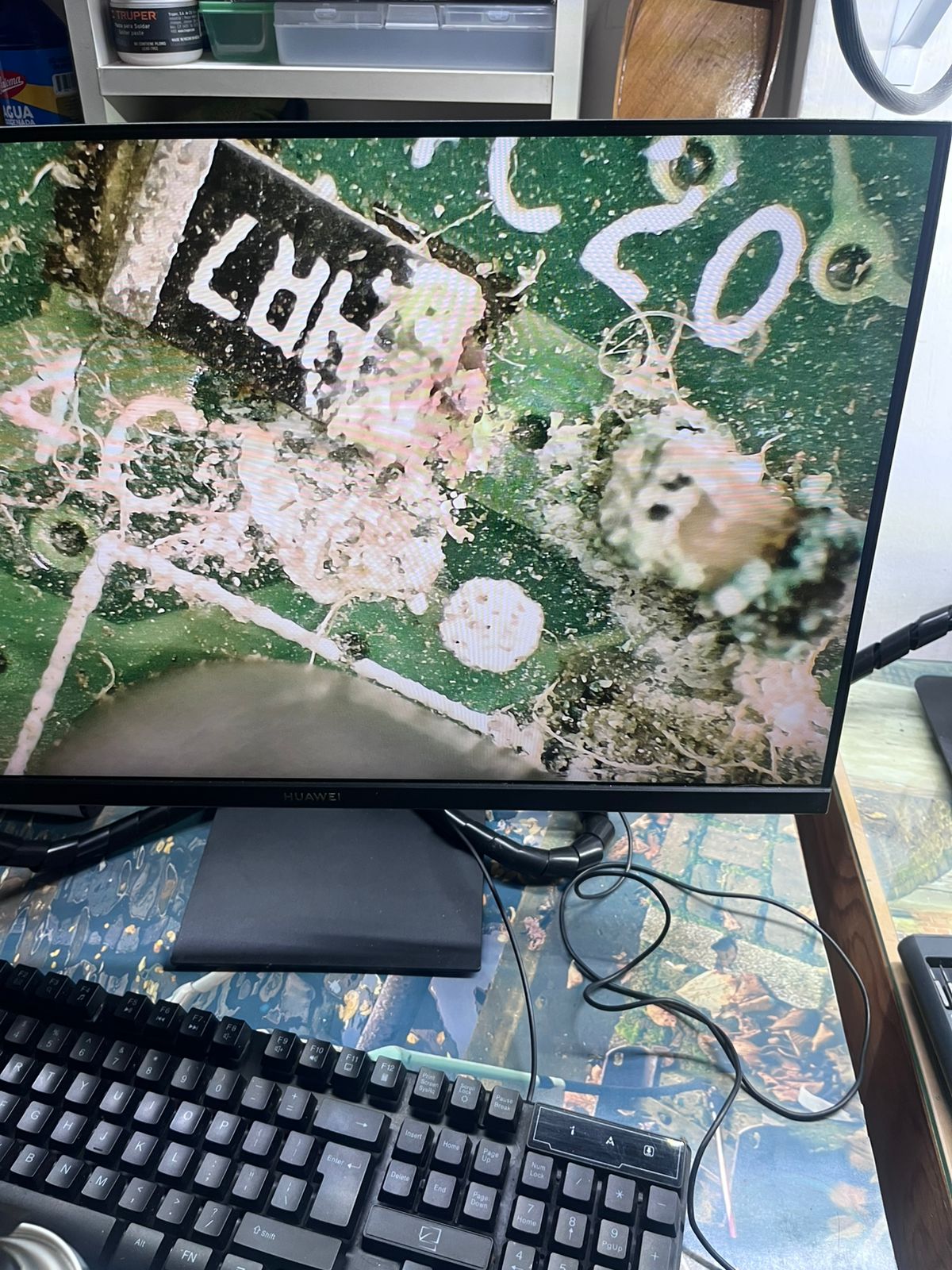 leetx-google-photo-1770332200324-4 leetx-google-photo-1770332200324-4