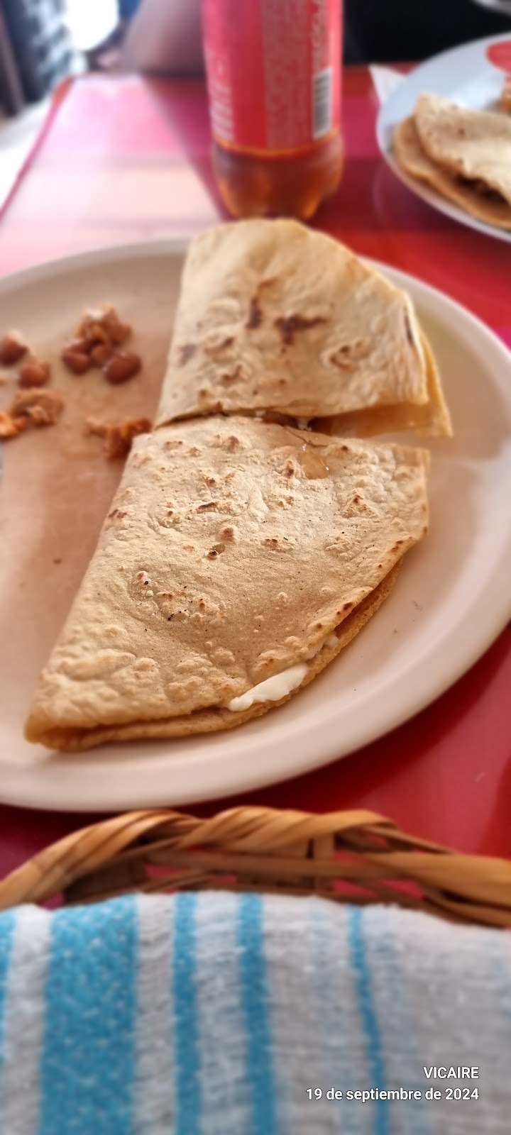 leetx-google-photo-44943-3 leetx-google-photo-44943-3