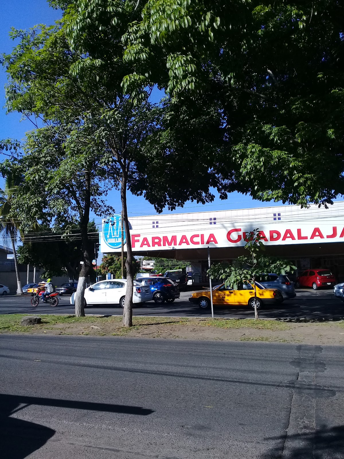 leetx-google-photo-45086-3 leetx-google-photo-45086-3