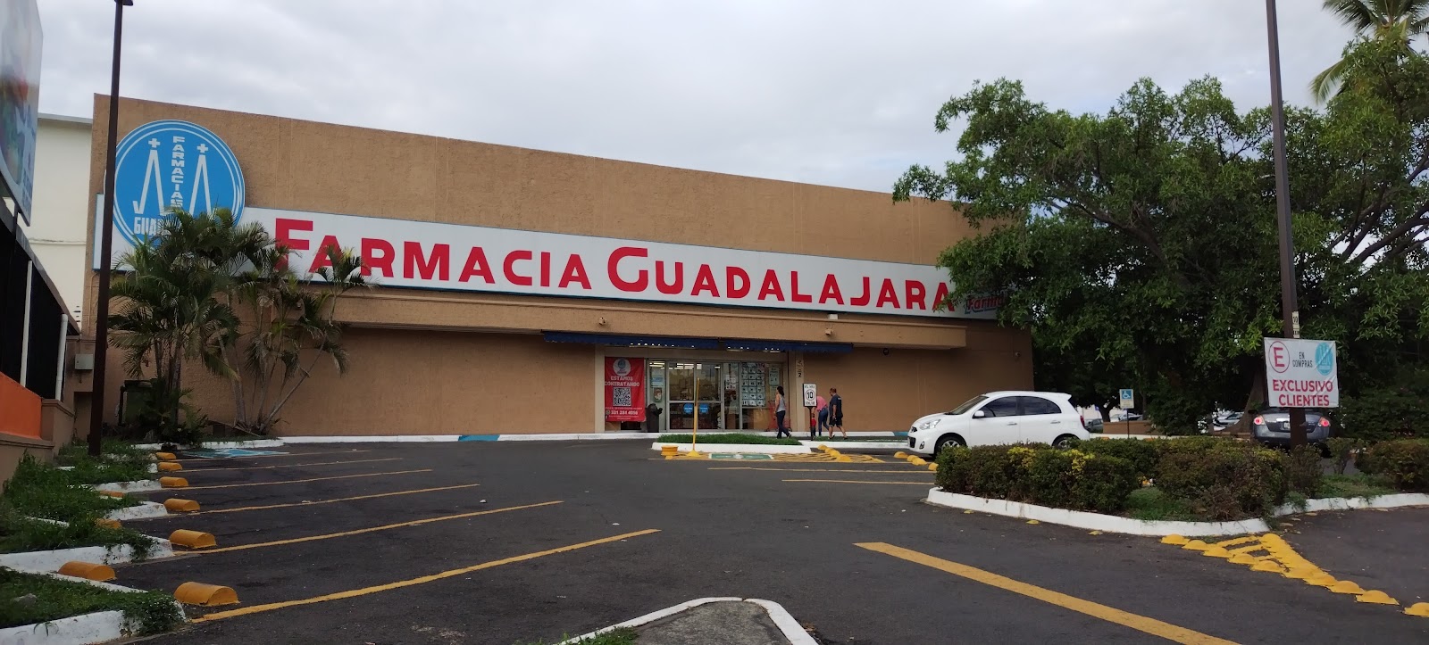 leetx-google-photo-45086-5 leetx-google-photo-45086-5