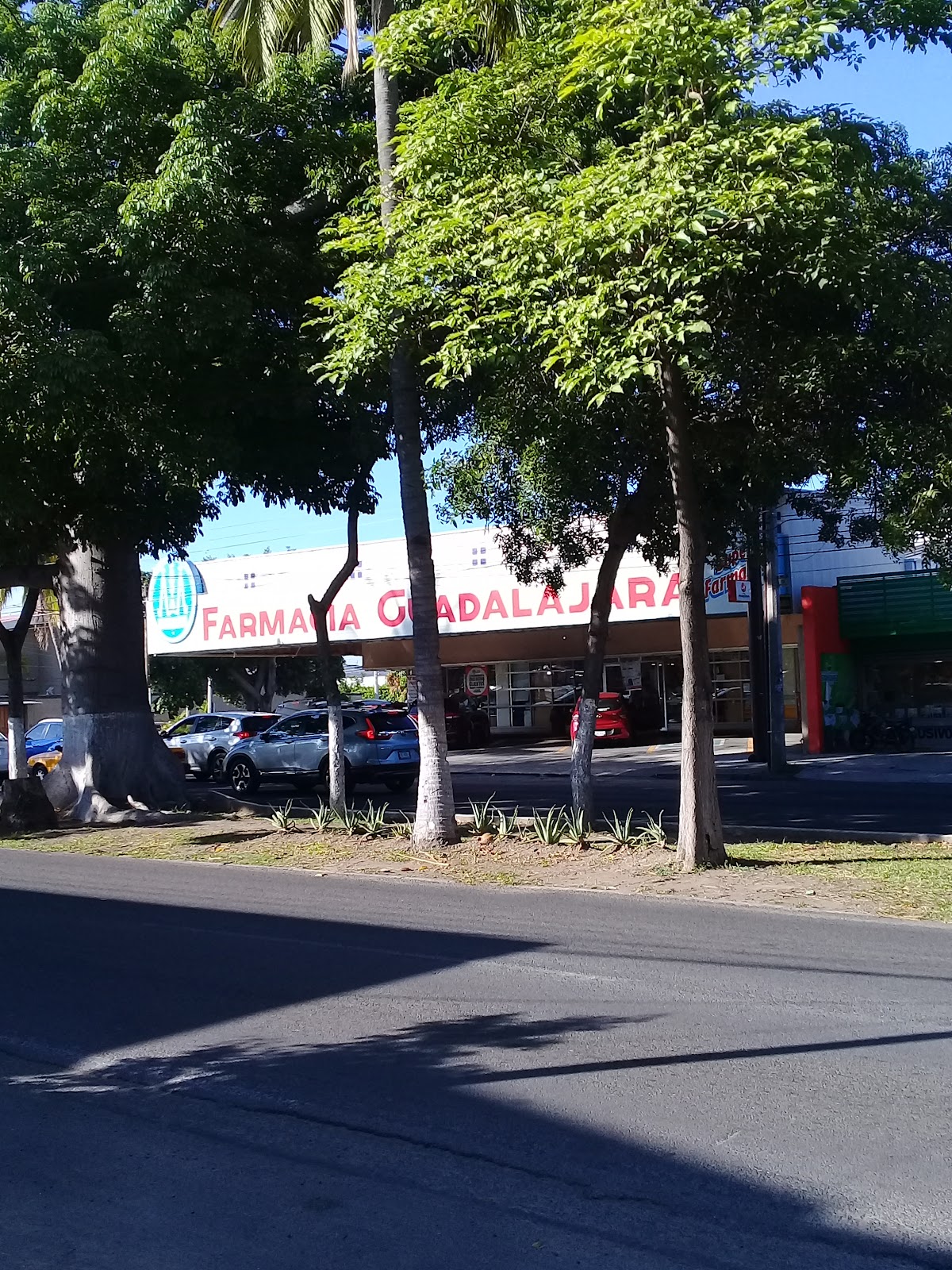 leetx-google-photo-45086-7 leetx-google-photo-45086-7