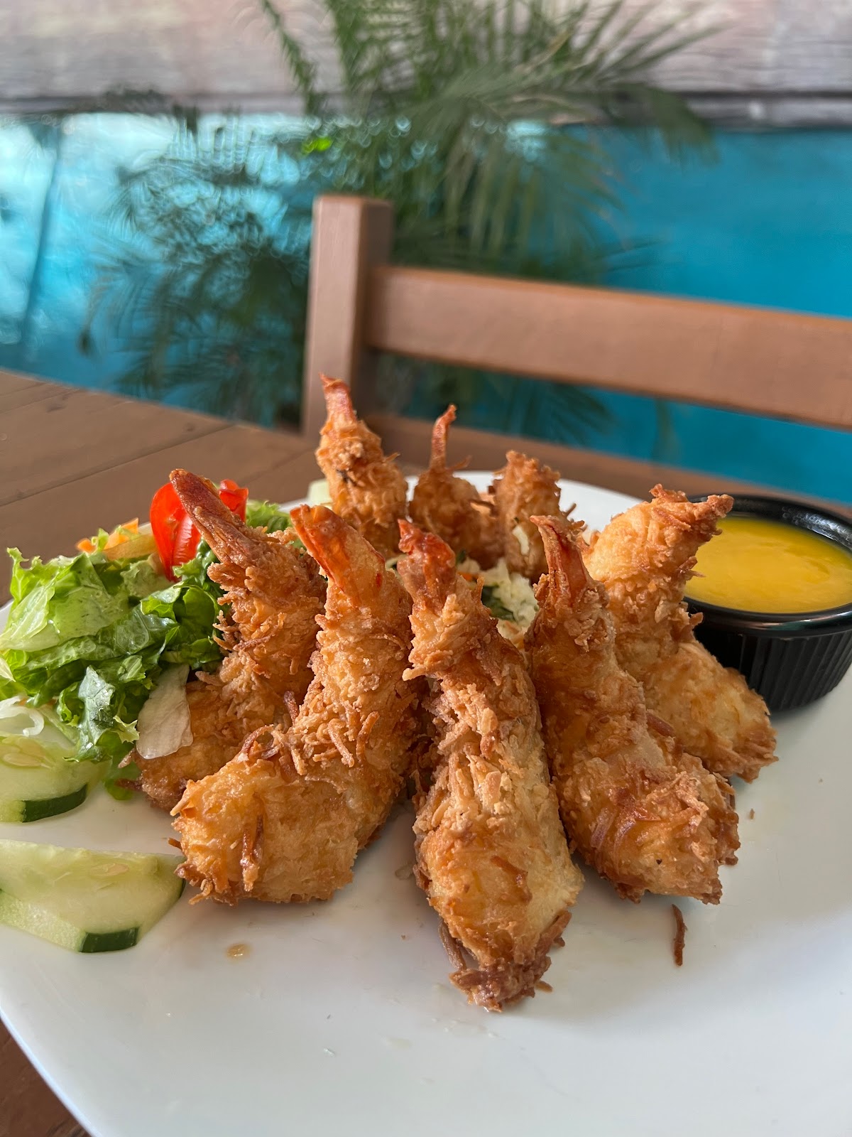 leetx-google-photo-45148-6 leetx-google-photo-45148-6