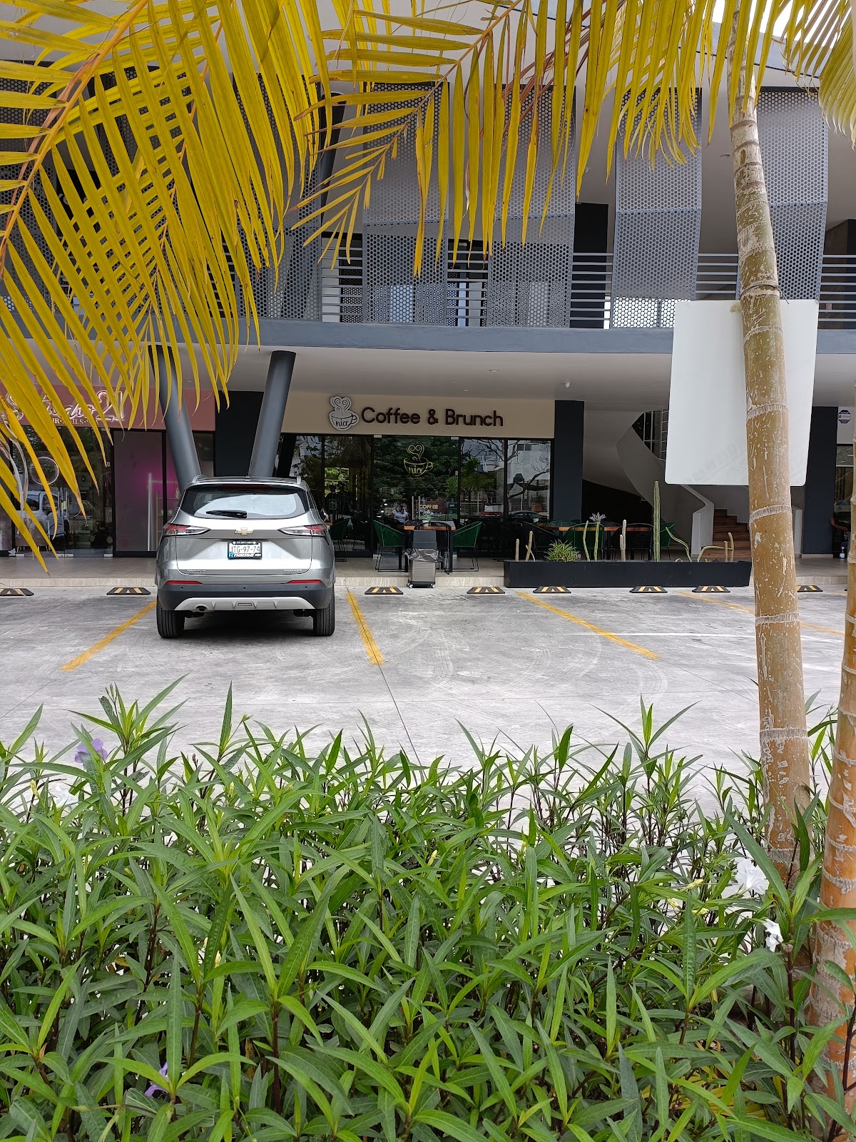 leetx-google-photo-45550-7 leetx-google-photo-45550-7