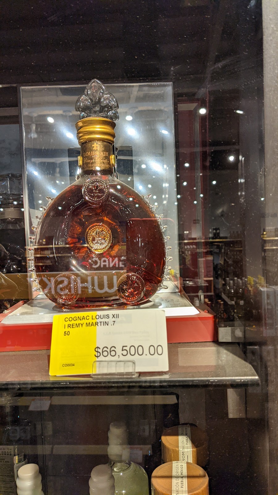 leetx-google-photo-45860-3 leetx-google-photo-45860-3